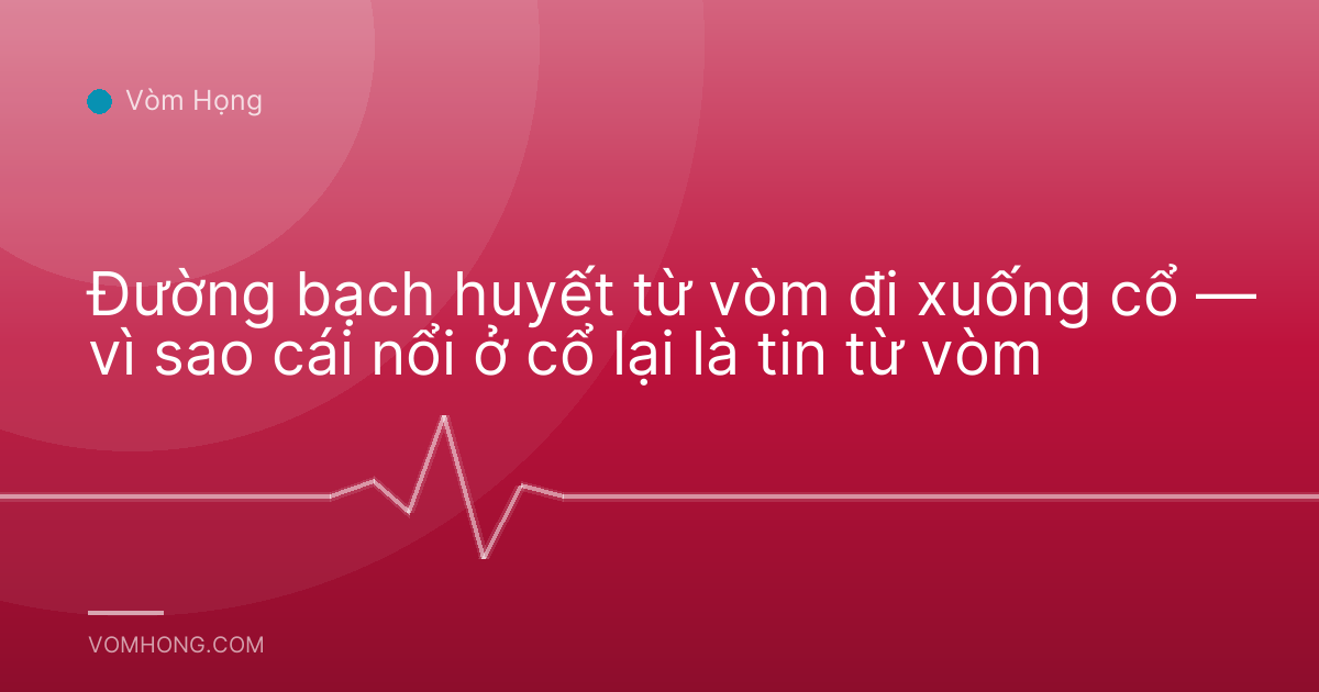 Đường bạch huyết từ vòm đi xuống cổ — vì sao cái nổi ở cổ lại là tin từ vòm