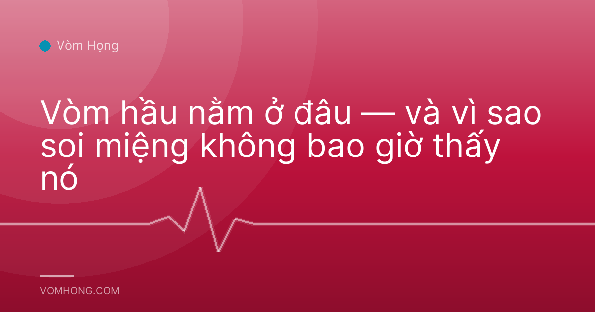 Vòm hầu nằm ở đâu — và vì sao soi miệng không bao giờ thấy nó