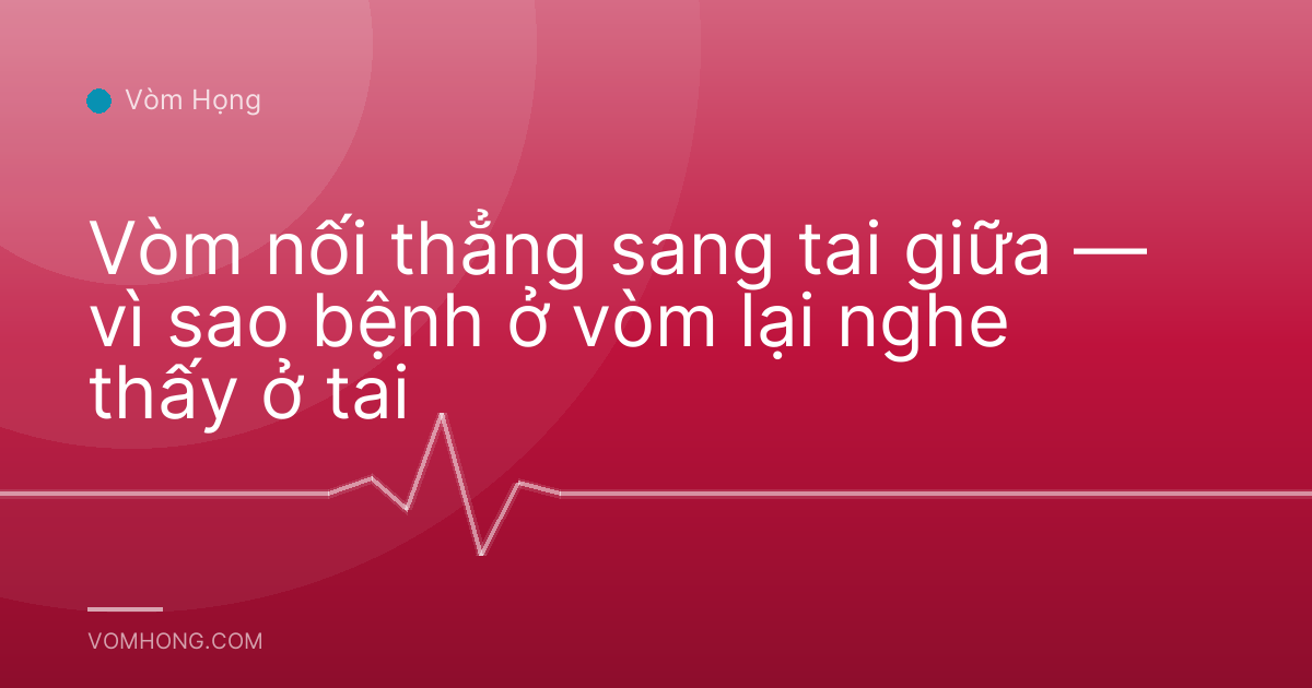 Vòm nối thẳng sang tai giữa — vì sao bệnh ở vòm lại nghe thấy ở tai